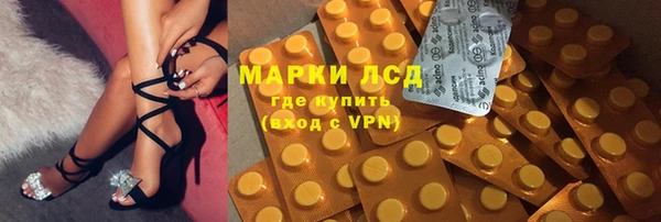 хмурый Бородино