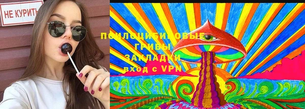 хмурый Бородино